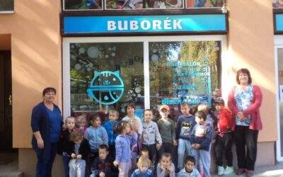 Pejkó csoportosok a Buborék kisállat-kereskedésben