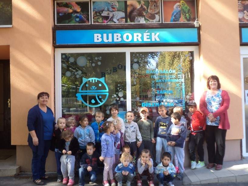 Pejko-csoportosok-a-Buborek-kisallat1