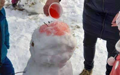 A víz, mint őselem a Kékcinke csoportban