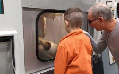 A Vizikék Óvoda Sün Dorottya csoportjának látogatása a Halimba Crystal Üvegmanufaktúrában