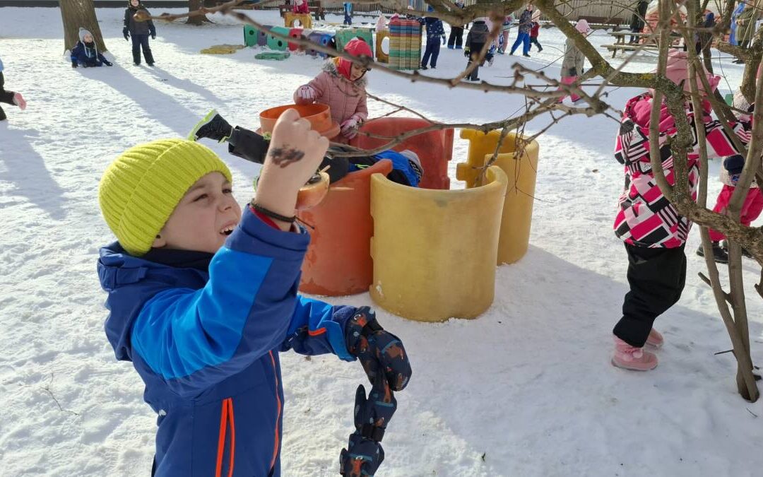 Gondoskodunk itthon maradt madarainkról